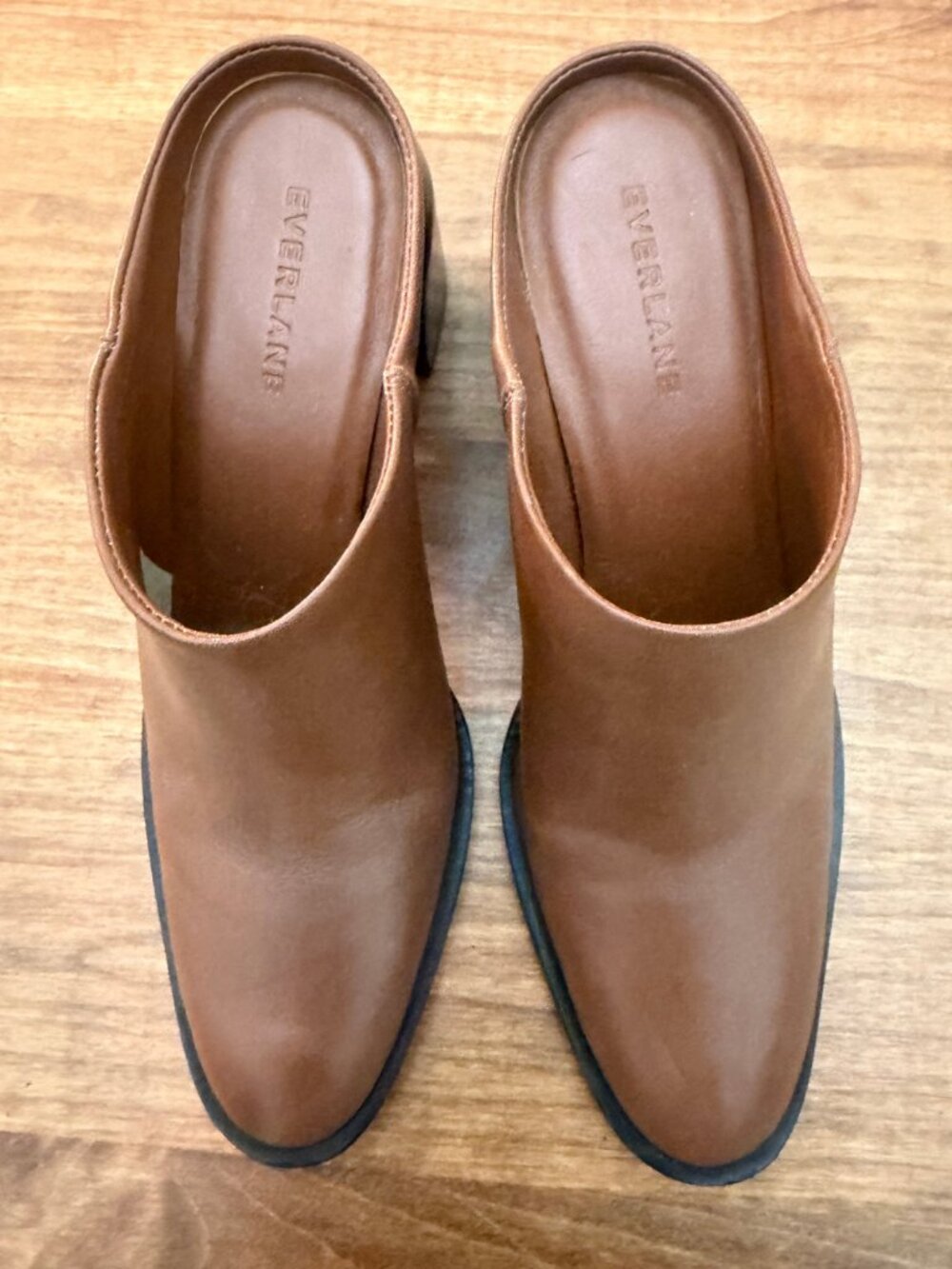 Everlane Heeled Mules
